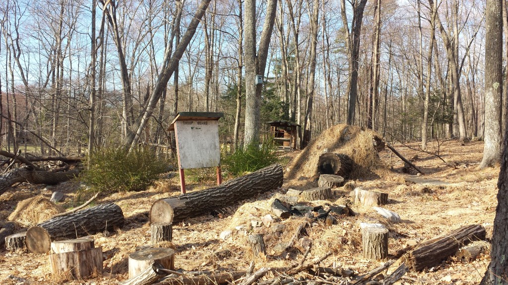 cabins-view20150425_175323